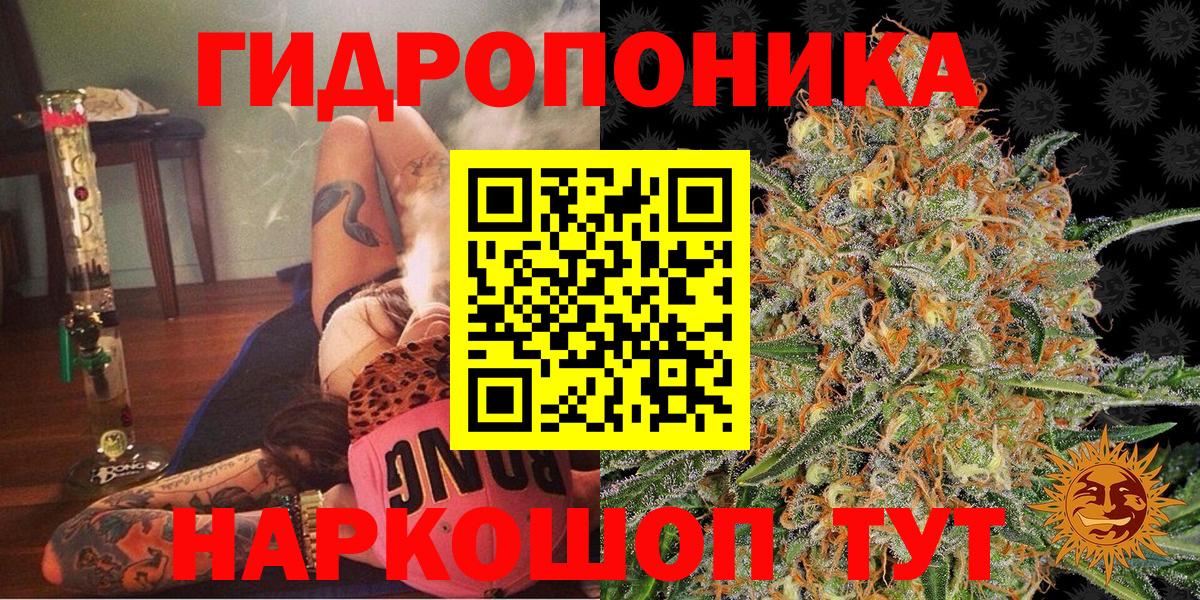 Бошки Шишки MAZAR Малгобек